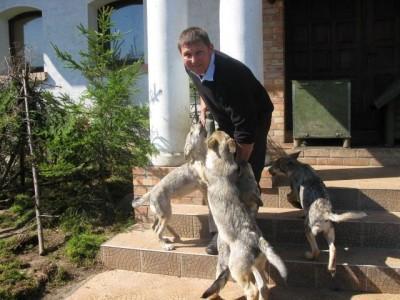 Mężczyzna i cztery psy przed domem